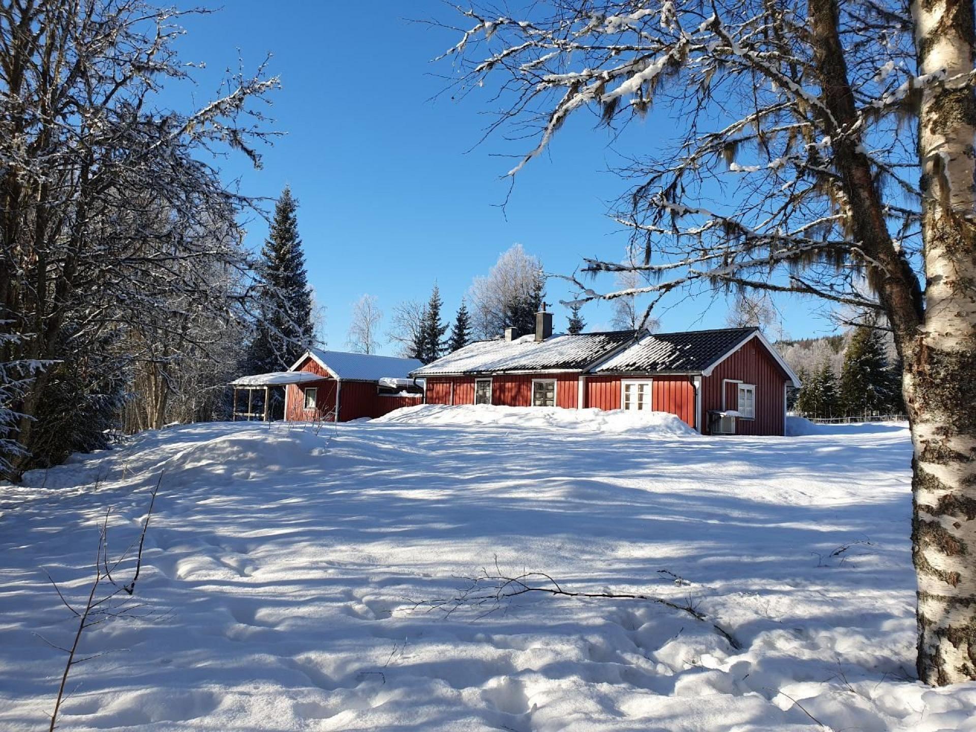 Stuga Fallen - Cosy and charming house for nature lovers Foto 13