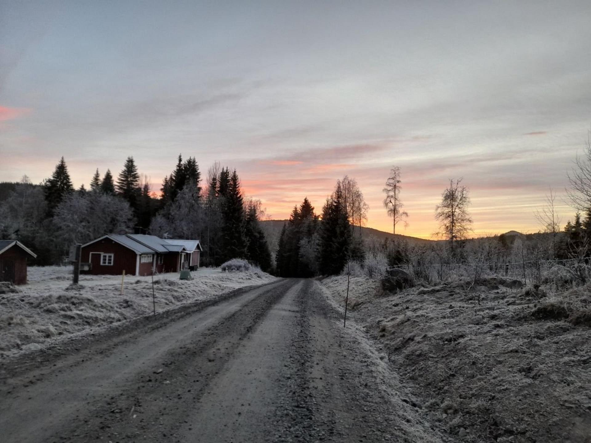 Stuga Fallen - Cosy and charming house for nature lovers Foto 3